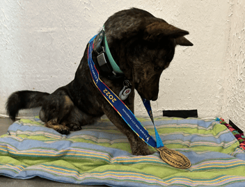 Screen Shot 2022-11-16 at 4.07.40 PM